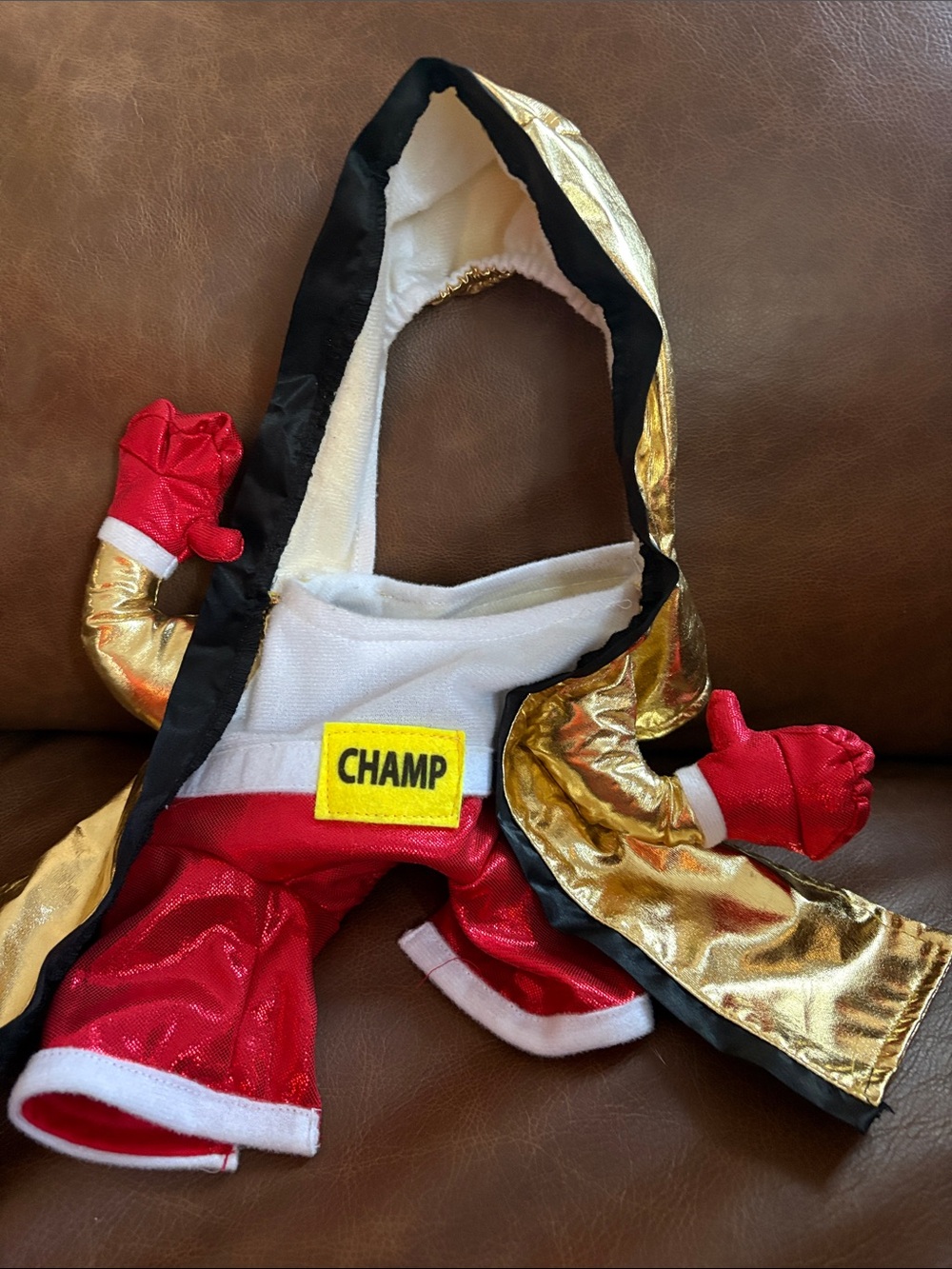 Boxing Champ Frontal dog S Halloween costume